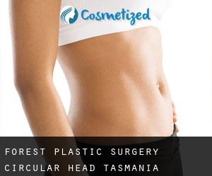 Forest plastic surgery (Circular Head, Tasmania)