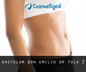Gastelum Bon Emilio Dr (Tula) #2