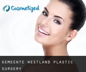 Gemeente Westland plastic surgery