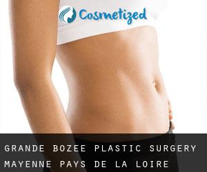 Grande Bozée plastic surgery (Mayenne, Pays de la Loire)