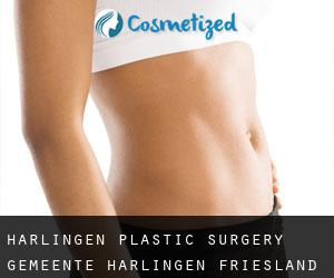 Harlingen plastic surgery (Gemeente Harlingen, Friesland)