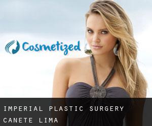 Imperial plastic surgery (Cañete, Lima)