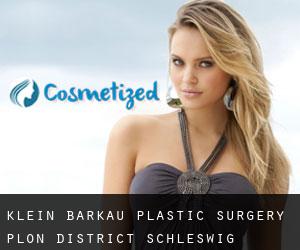 Klein Barkau plastic surgery (Plön District, Schleswig-Holstein)