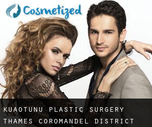 Kuaotunu plastic surgery (Thames-Coromandel District, Waikato)