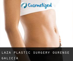 Laza plastic surgery (Ourense, Galicia)