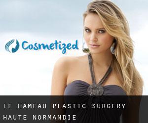 Le Hameau plastic surgery (Haute-Normandie)