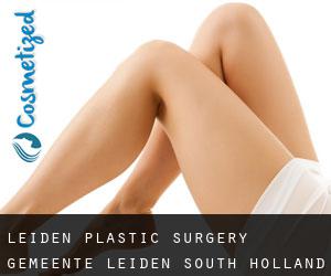 Leiden plastic surgery (Gemeente Leiden, South Holland)