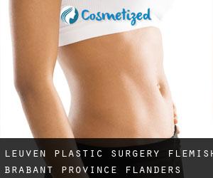 Leuven plastic surgery (Flemish Brabant Province, Flanders)