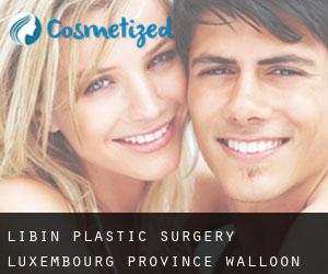 Libin plastic surgery (Luxembourg Province, Walloon Region)