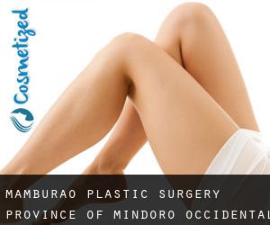 Mamburao plastic surgery (Province of Mindoro Occidental, Mimaropa)