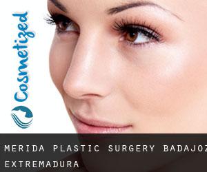 Mérida plastic surgery (Badajoz, Extremadura)
