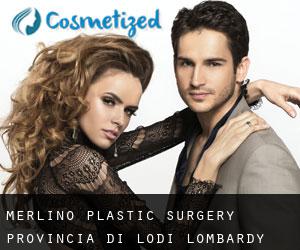Merlino plastic surgery (Provincia di Lodi, Lombardy)