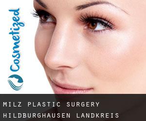 Milz plastic surgery (Hildburghausen Landkreis, Thuringia)