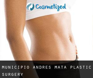 Municipio Andrés Mata plastic surgery
