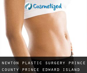Newton plastic surgery (Prince County, Prince Edward Island)