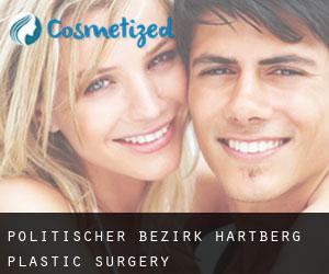 Politischer Bezirk Hartberg plastic surgery
