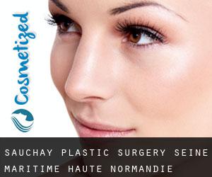 Sauchay plastic surgery (Seine-Maritime, Haute-Normandie)