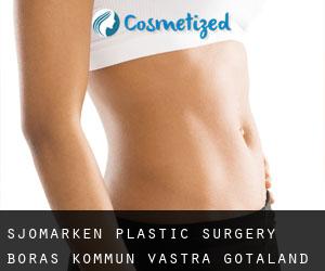 Sjömarken plastic surgery (Borås Kommun, Västra Götaland)