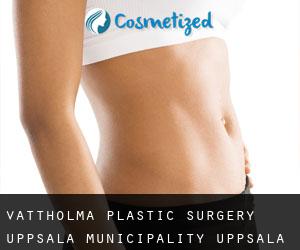 Vattholma plastic surgery (Uppsala Municipality, Uppsala)