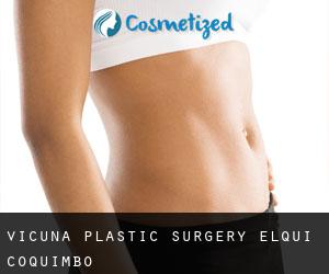 Vicuña plastic surgery (Elqui, Coquimbo)