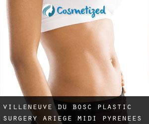 Villeneuve-du-Bosc plastic surgery (Ariège, Midi-Pyrénées) - page 2