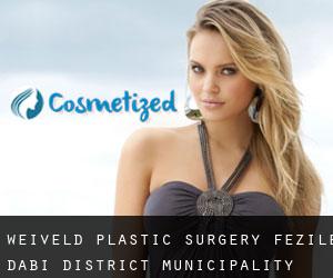 Weiveld plastic surgery (Fezile Dabi District Municipality, Free State)