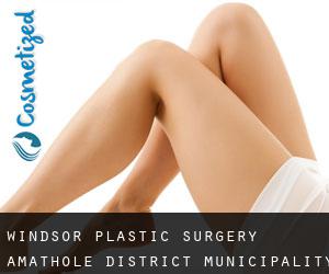 Windsor plastic surgery (Amathole District Municipality, Eastern Cape)