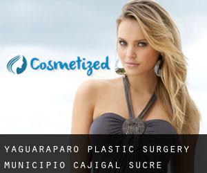 Yaguaraparo plastic surgery (Municipio Cajigal, Sucre)