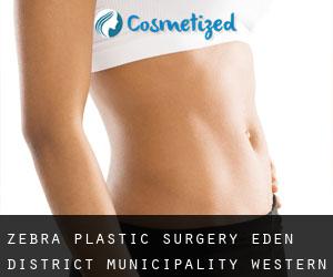 Zebra plastic surgery (Eden District Municipality, Western Cape)